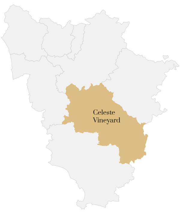 Châteauneuf-du-Pape