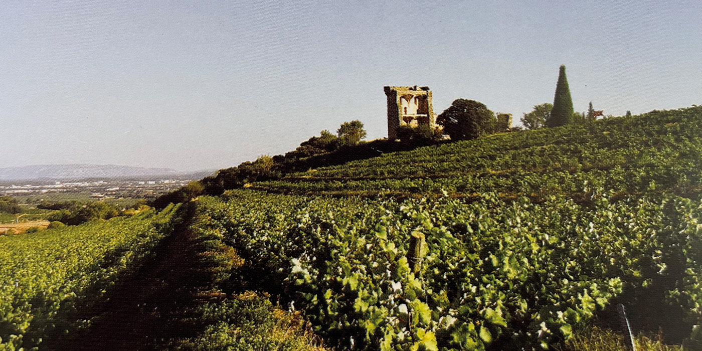 Le Clos des Papes
