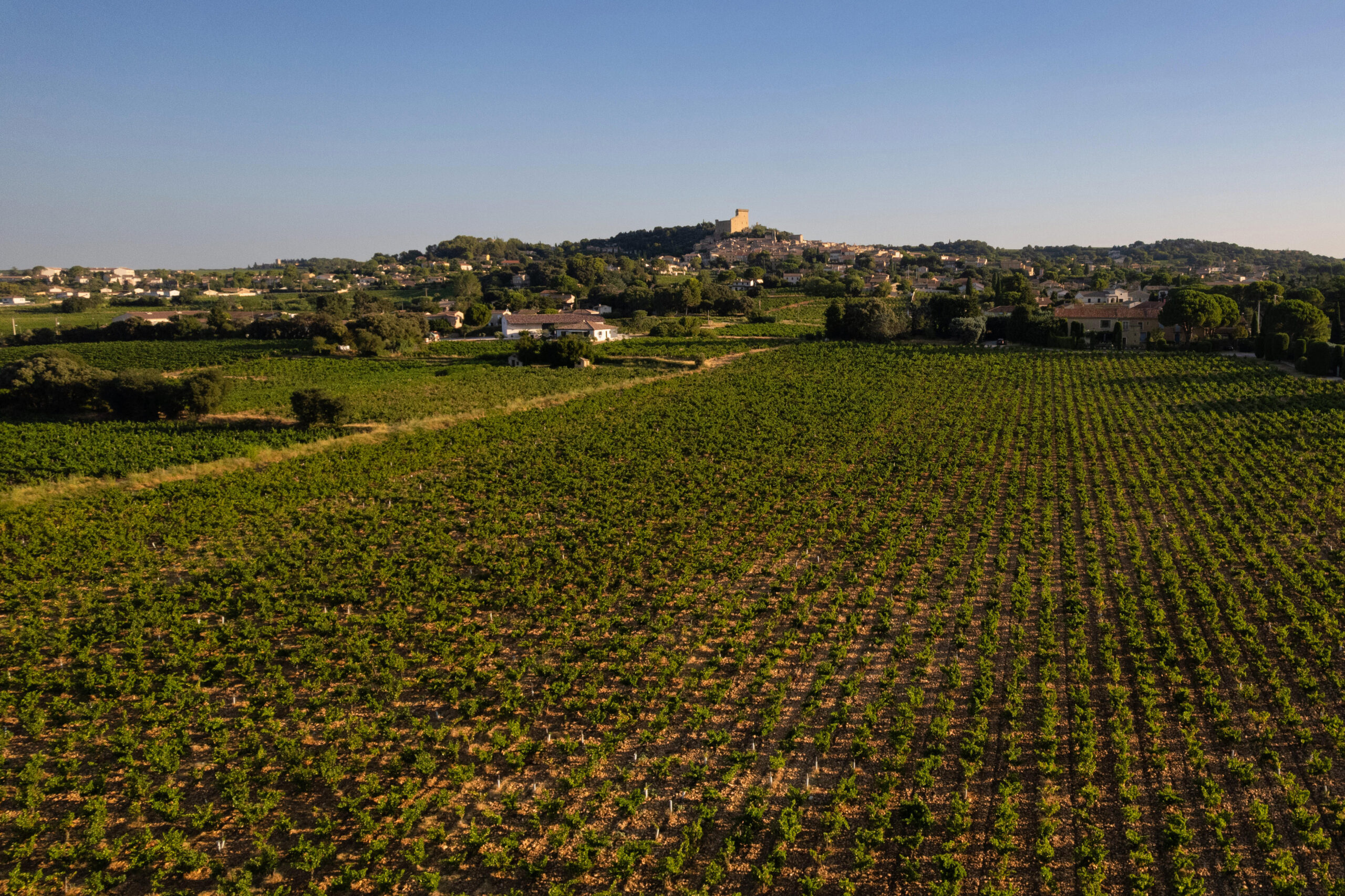 Les terroirs Les terroirs